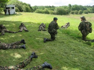 Re-Org Re-Org after the Section Attack